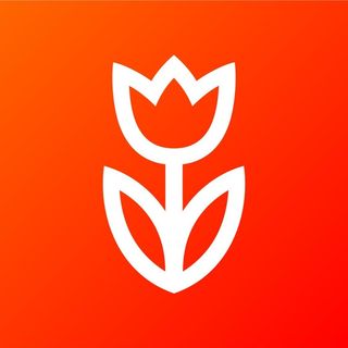 Промокод Flowwow на скидку 15%